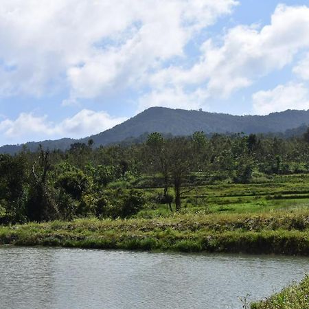 דירות מדיקרי Camp Coorg מראה חיצוני תמונה
